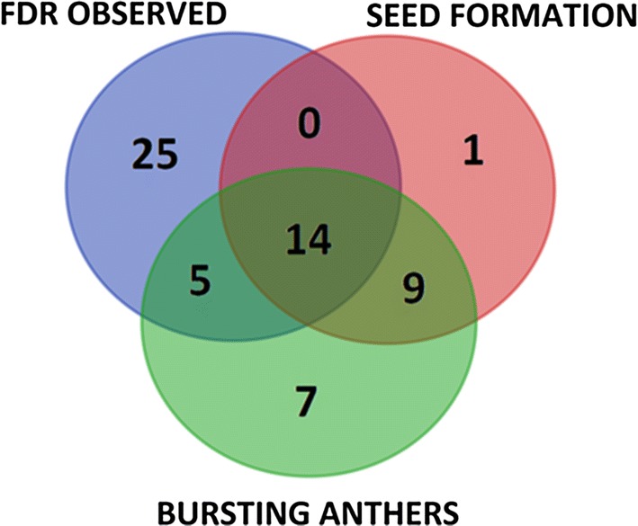 Fig. 7