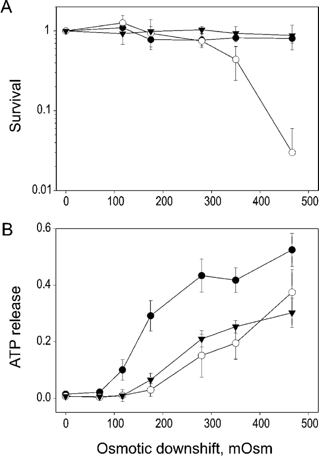 Figure 9. 