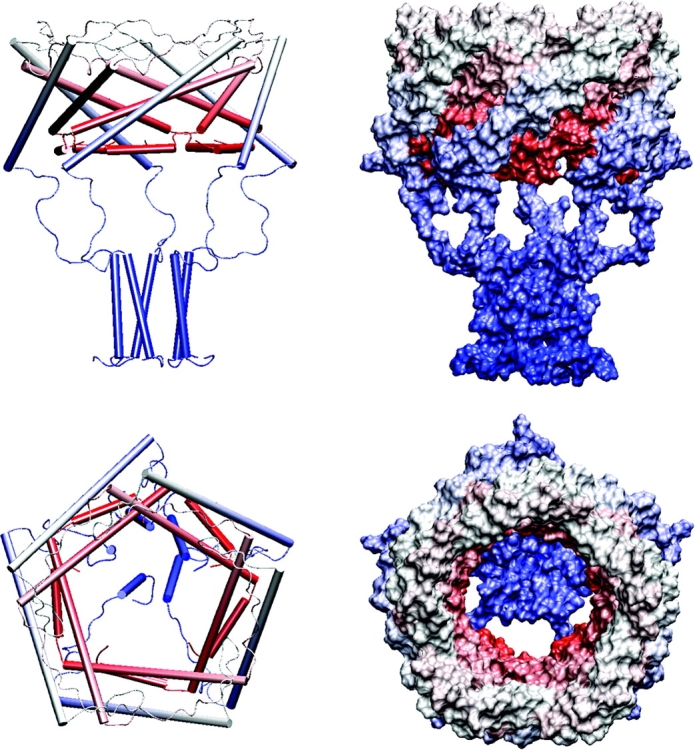 Figure 10. 