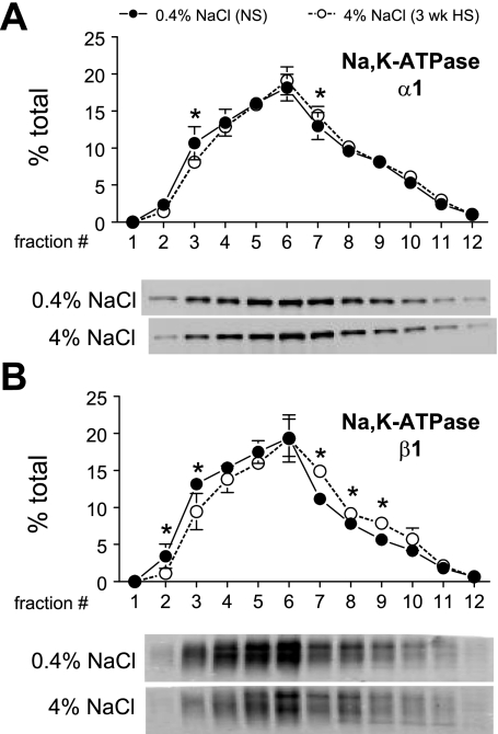 Fig. 12.