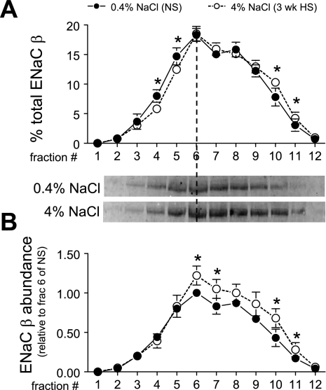 Fig. 11.