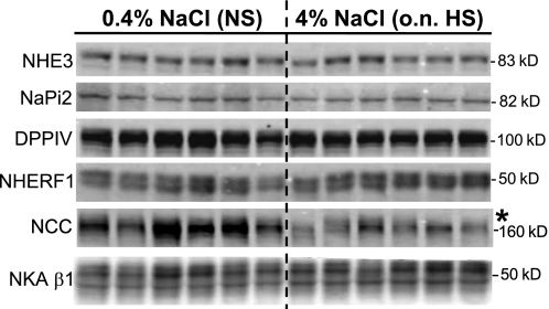 Fig. 13.