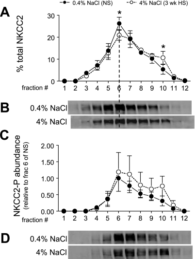 Fig. 10.