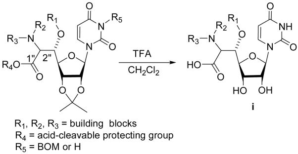 Scheme 1