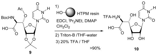 Scheme 4