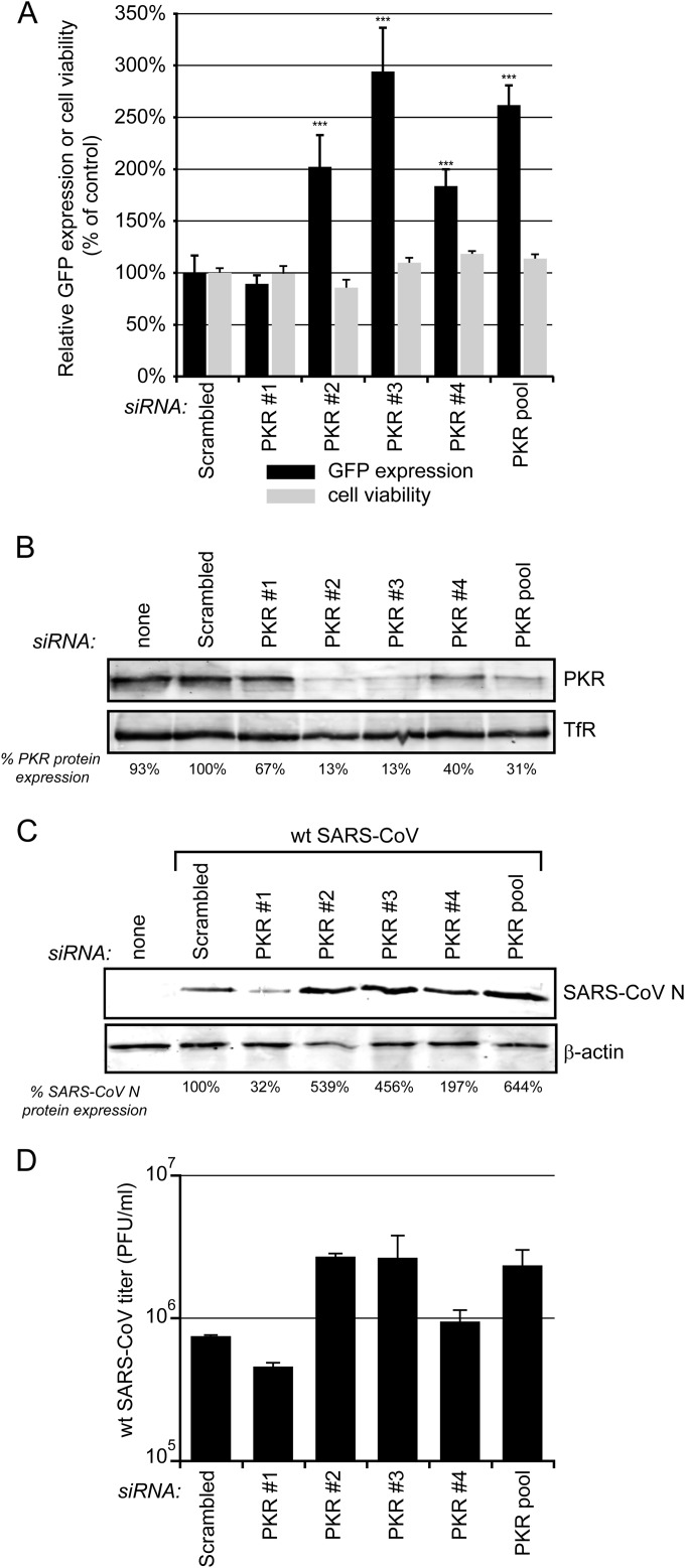 FIG 7