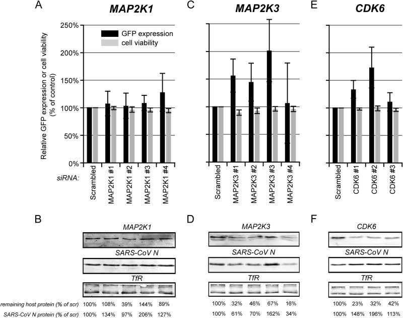 FIG 6