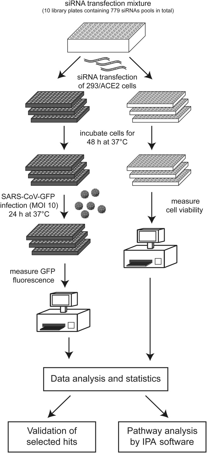 FIG 2