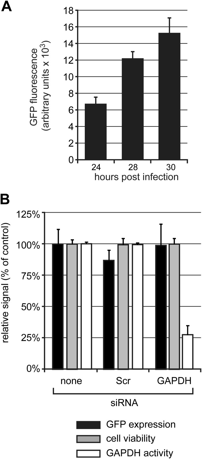 FIG 1