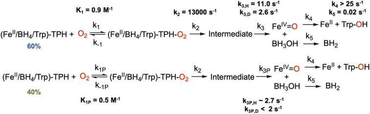 Scheme 2.