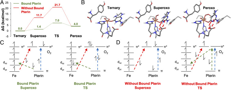 Fig. 4.