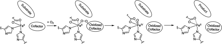 Scheme 3.