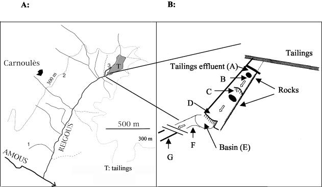 FIG. 1.