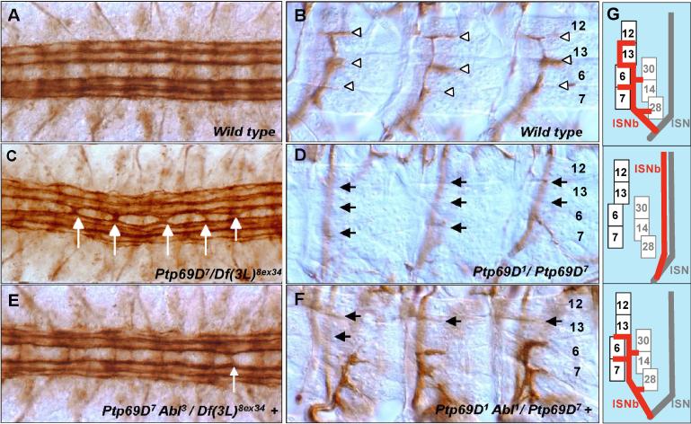 Fig.1