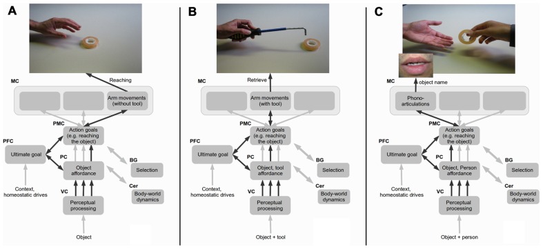 FIGURE 1