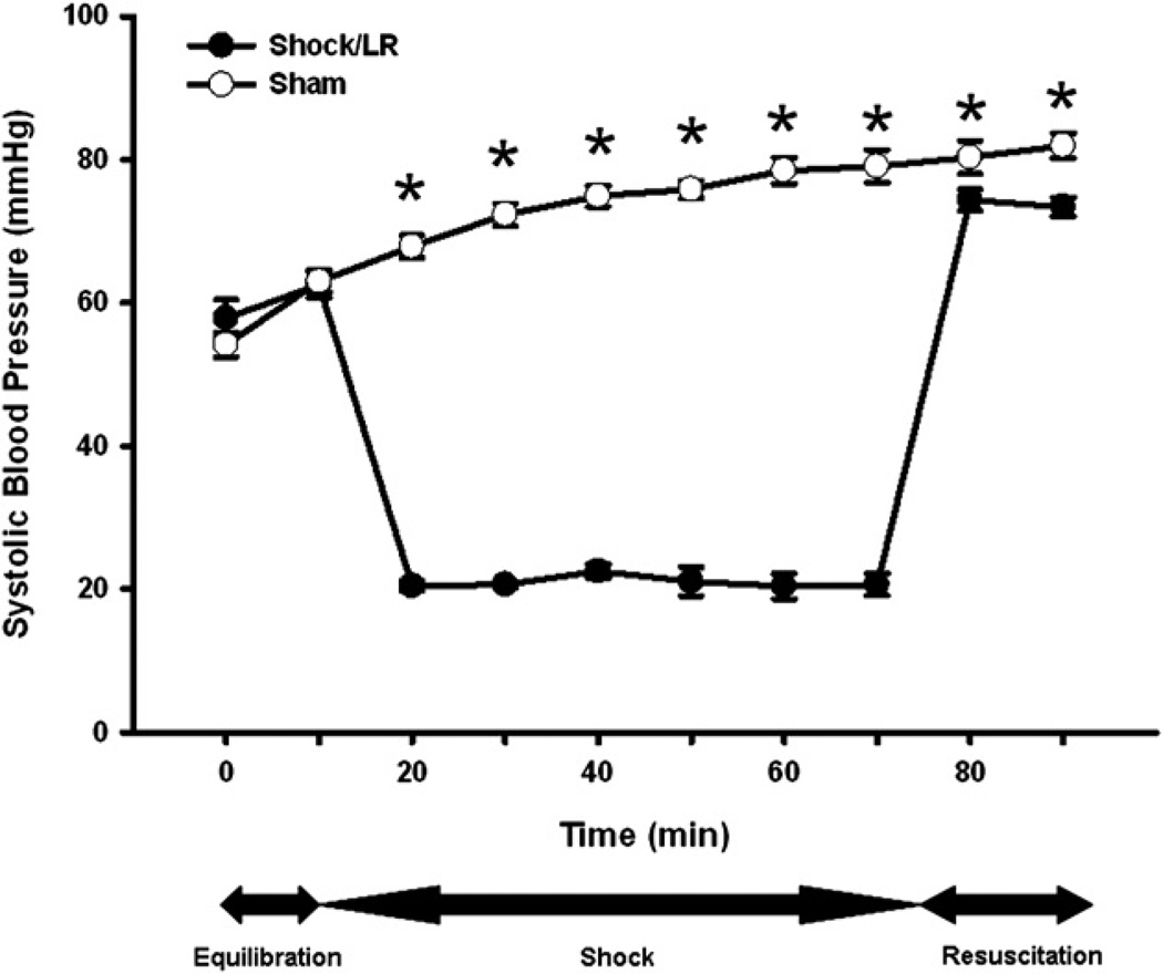 FIG. 1