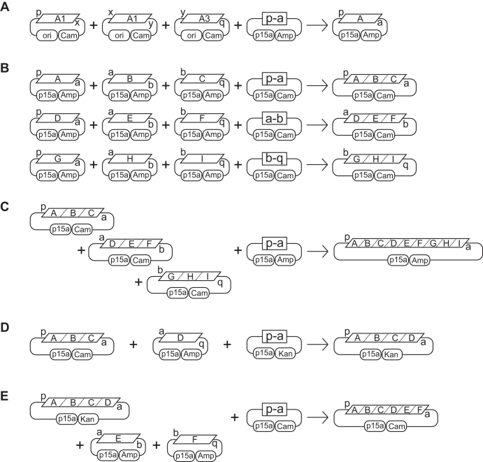 Figure 5.