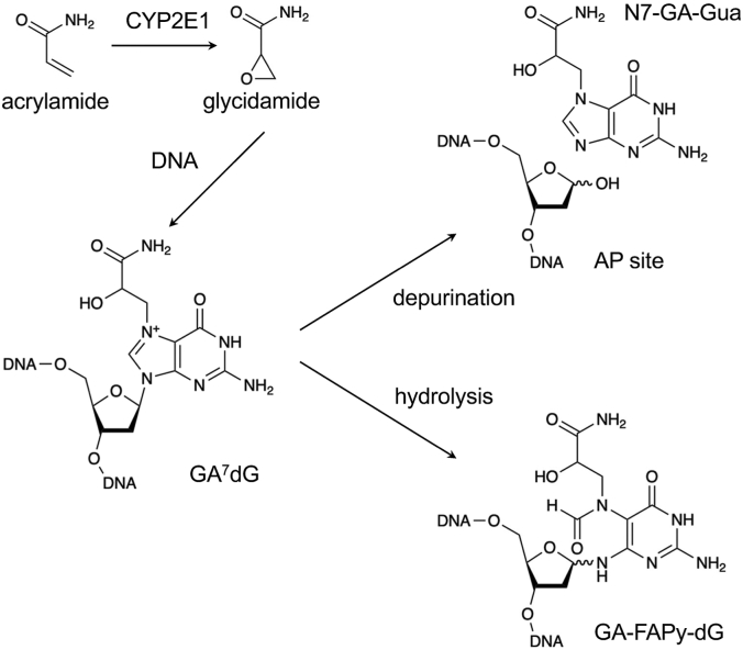 Figure 1