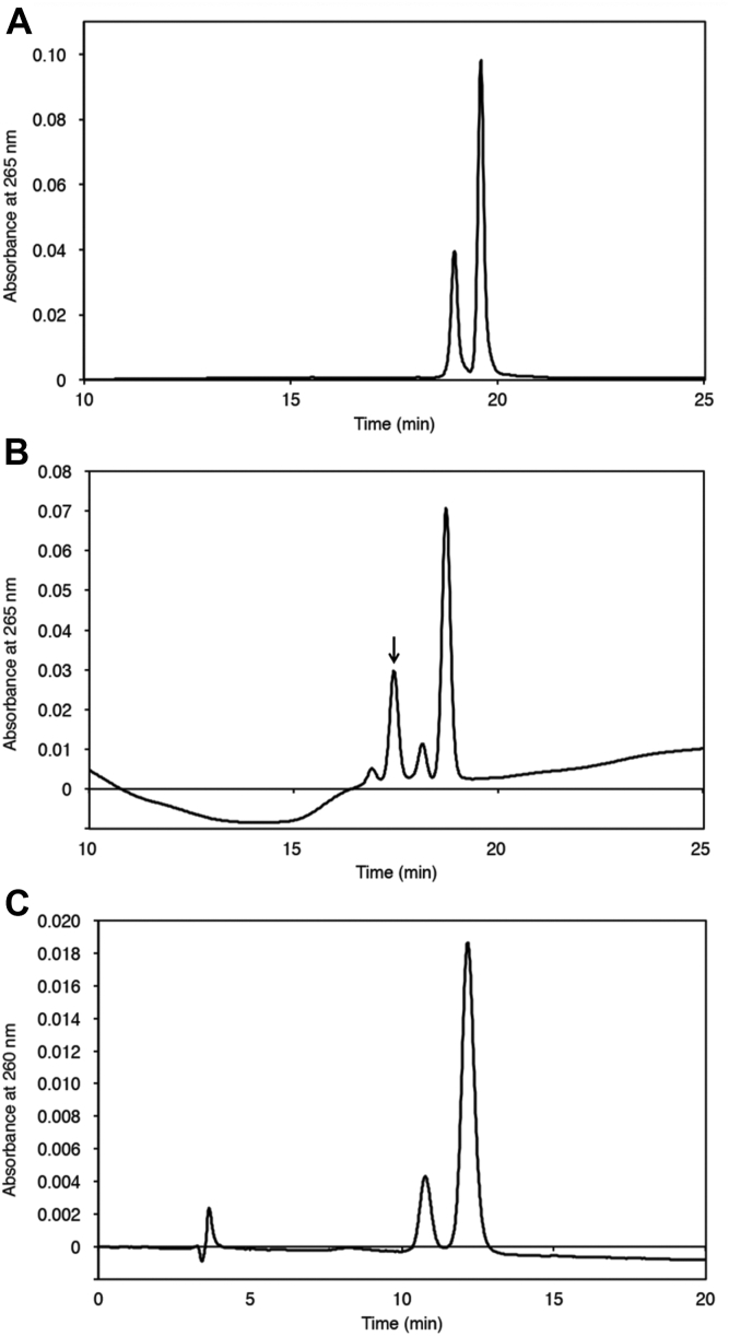 Figure 3