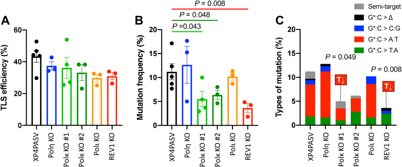 Figure 6