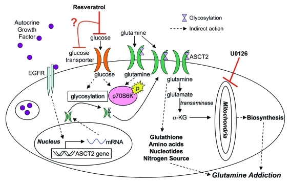 Figure 6.