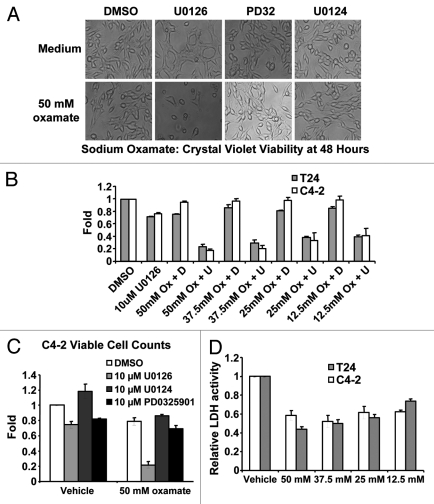 Figure 4.