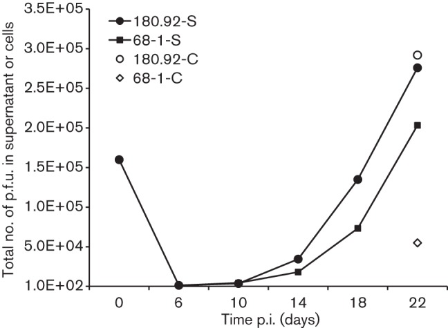 Fig. 5.