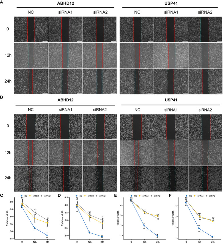 Figure 13