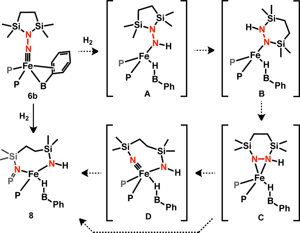 Scheme 4