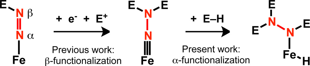 Scheme 1