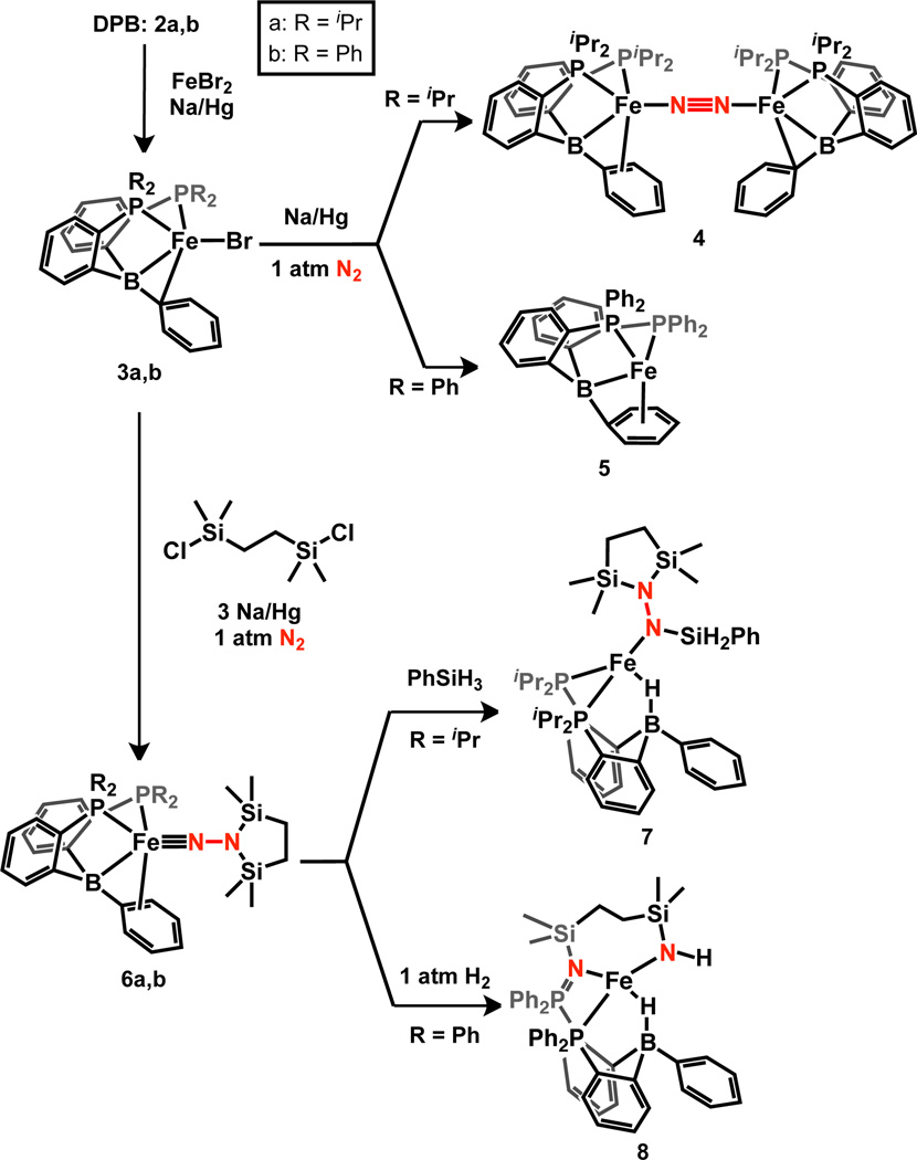 Scheme 3