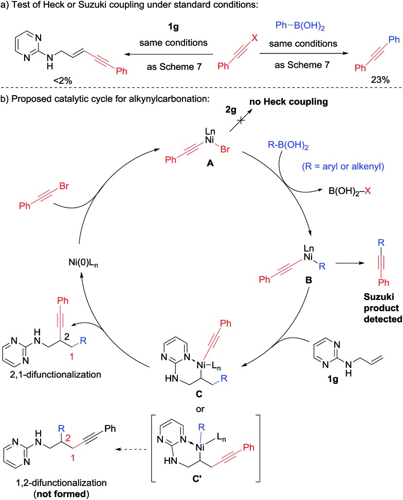 Scheme 8