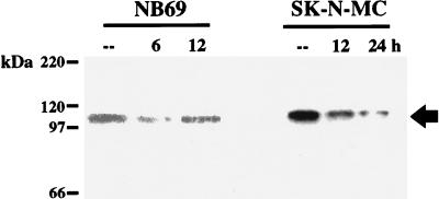 FIG. 8