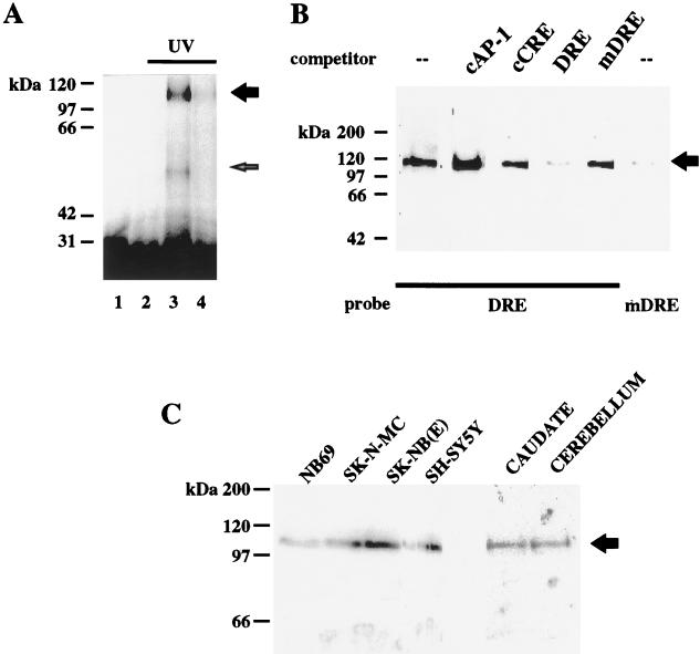 FIG. 7