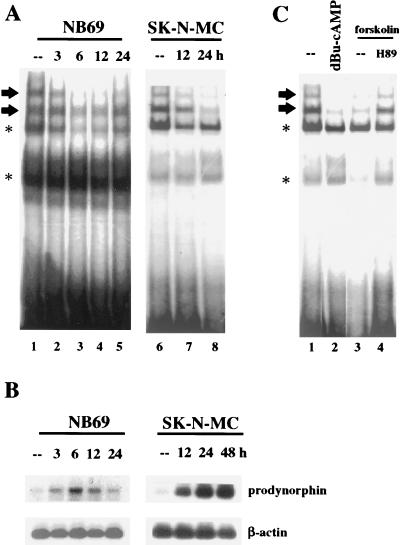 FIG. 6