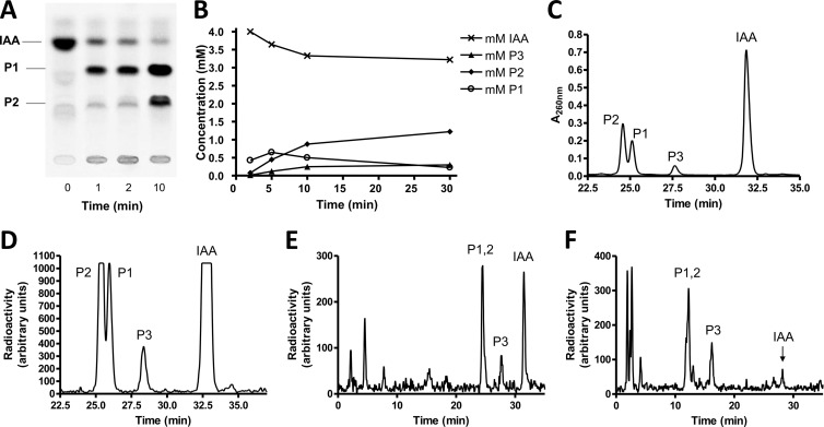 Fig 1