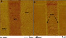 Figure 24