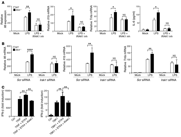 Figure 6