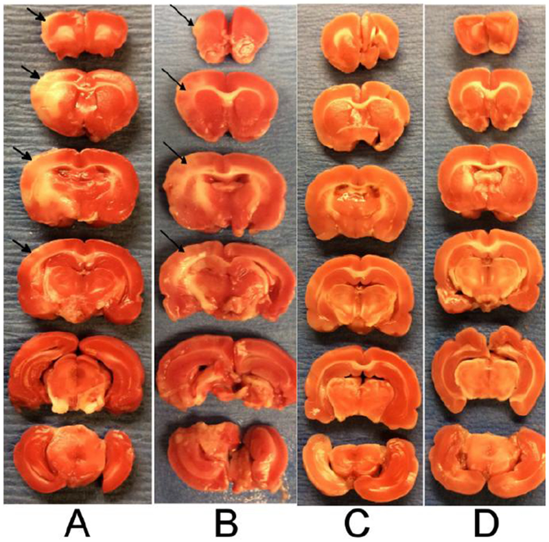 Figure 3: