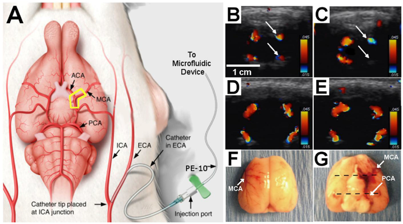 Figure 2: