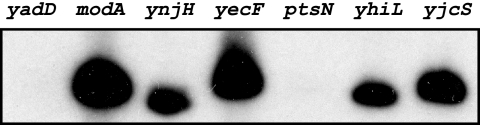 FIG. 6.