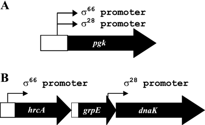 FIG. 7.