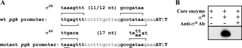 FIG. 5.