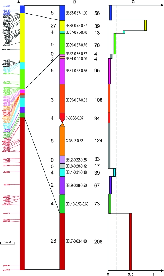 Figure 1.—