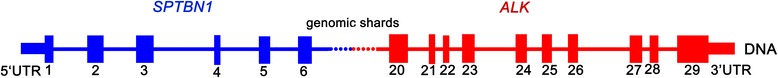 Fig. 2