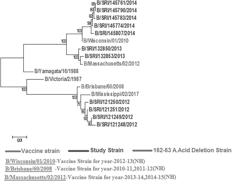 Fig. 3