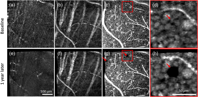 Fig. 7