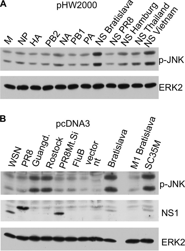 FIG 5