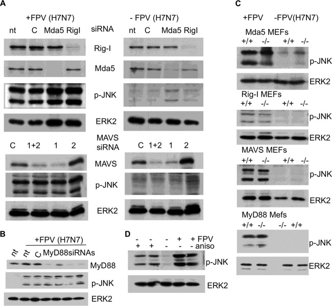 FIG 3