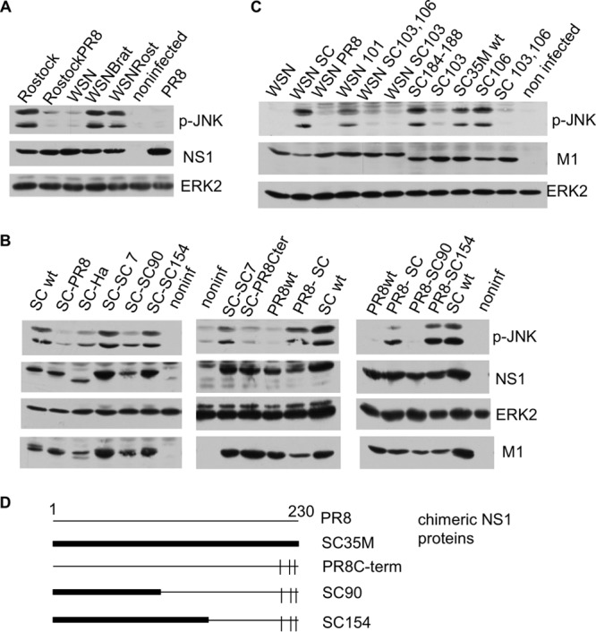 FIG 6